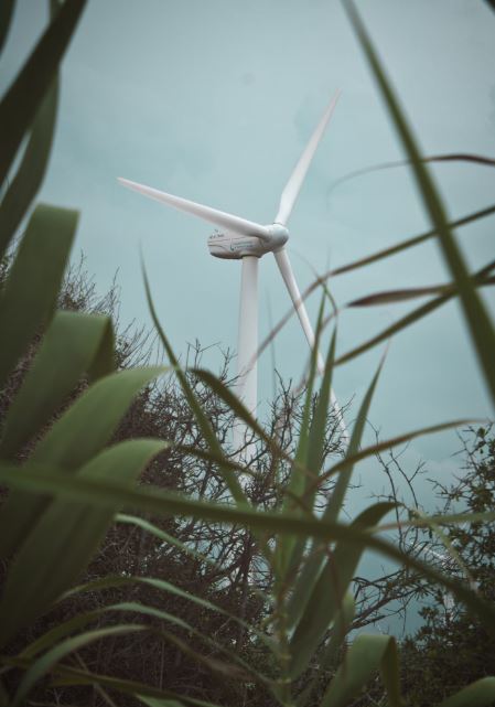 Mehr über den Artikel erfahren Bundespräsident diskutiert in Weiden über Windkraft und Bürgerbeteiligung