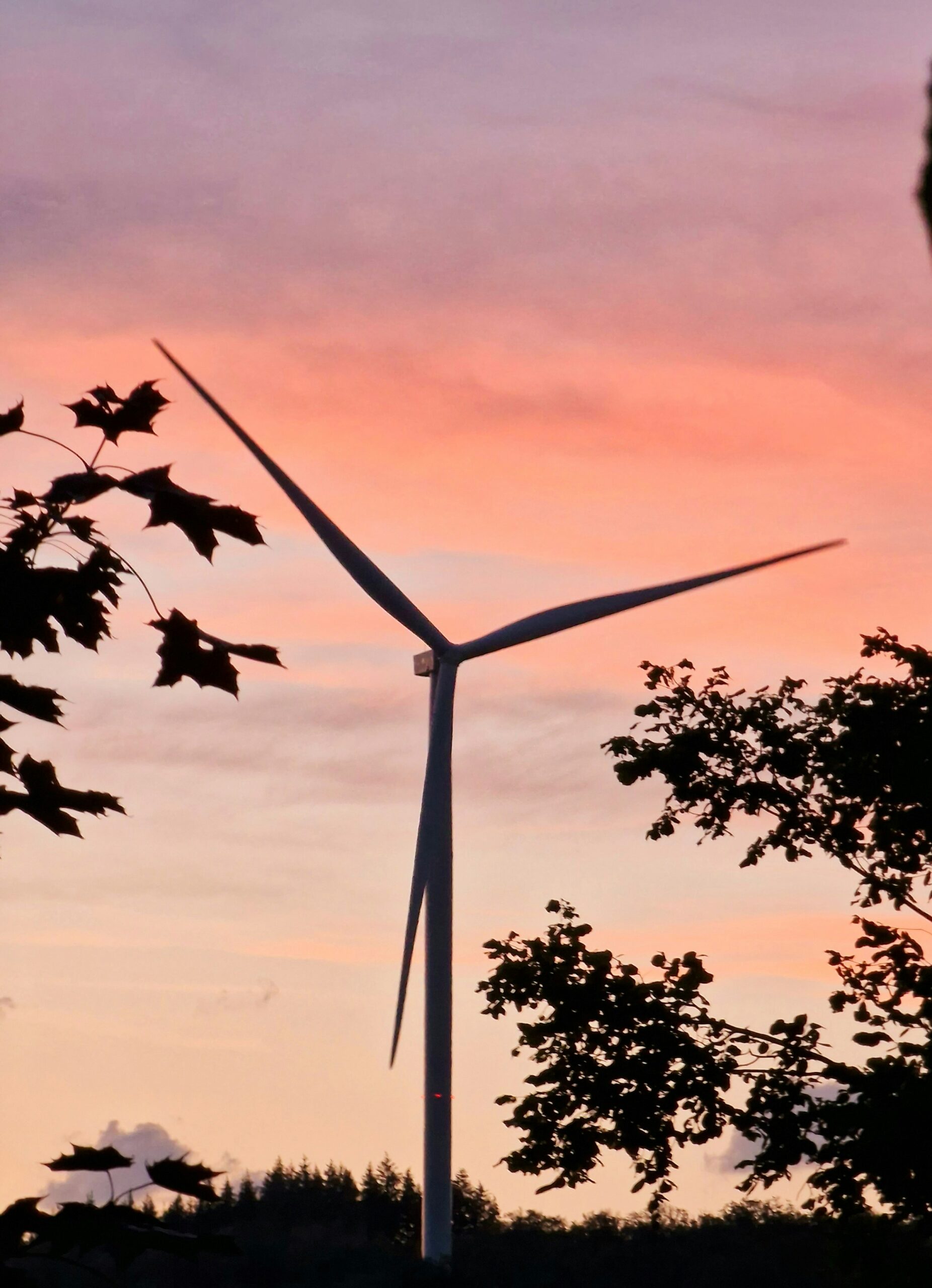 Mehr über den Artikel erfahren Für Bürgerinnen und Bürger: Beteiligung an Gewinnen aus Solar- und Windkraft