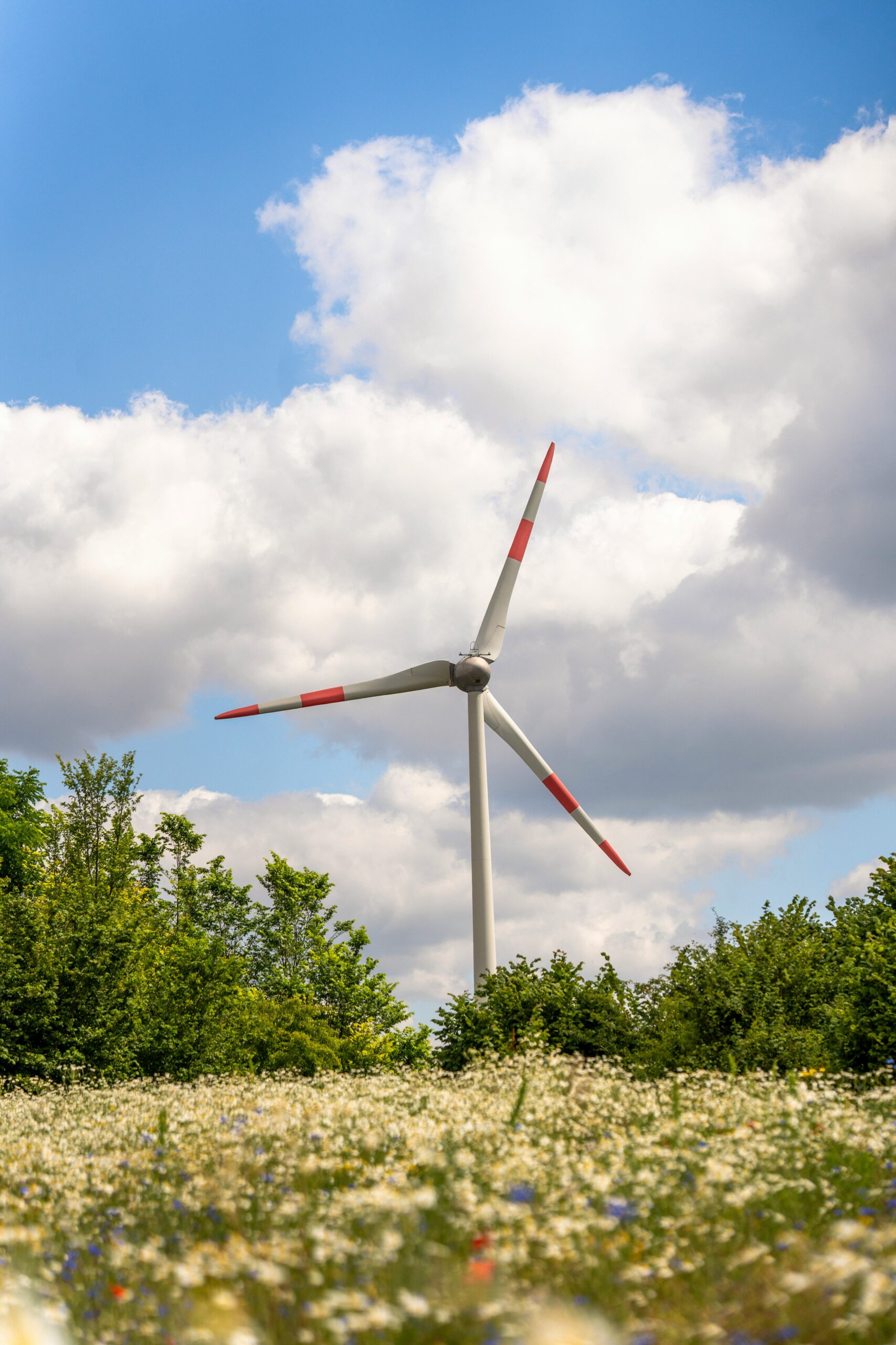 Mehr über den Artikel erfahren Debatte um Förderpolitik erneuerbarer Energien in Bayern