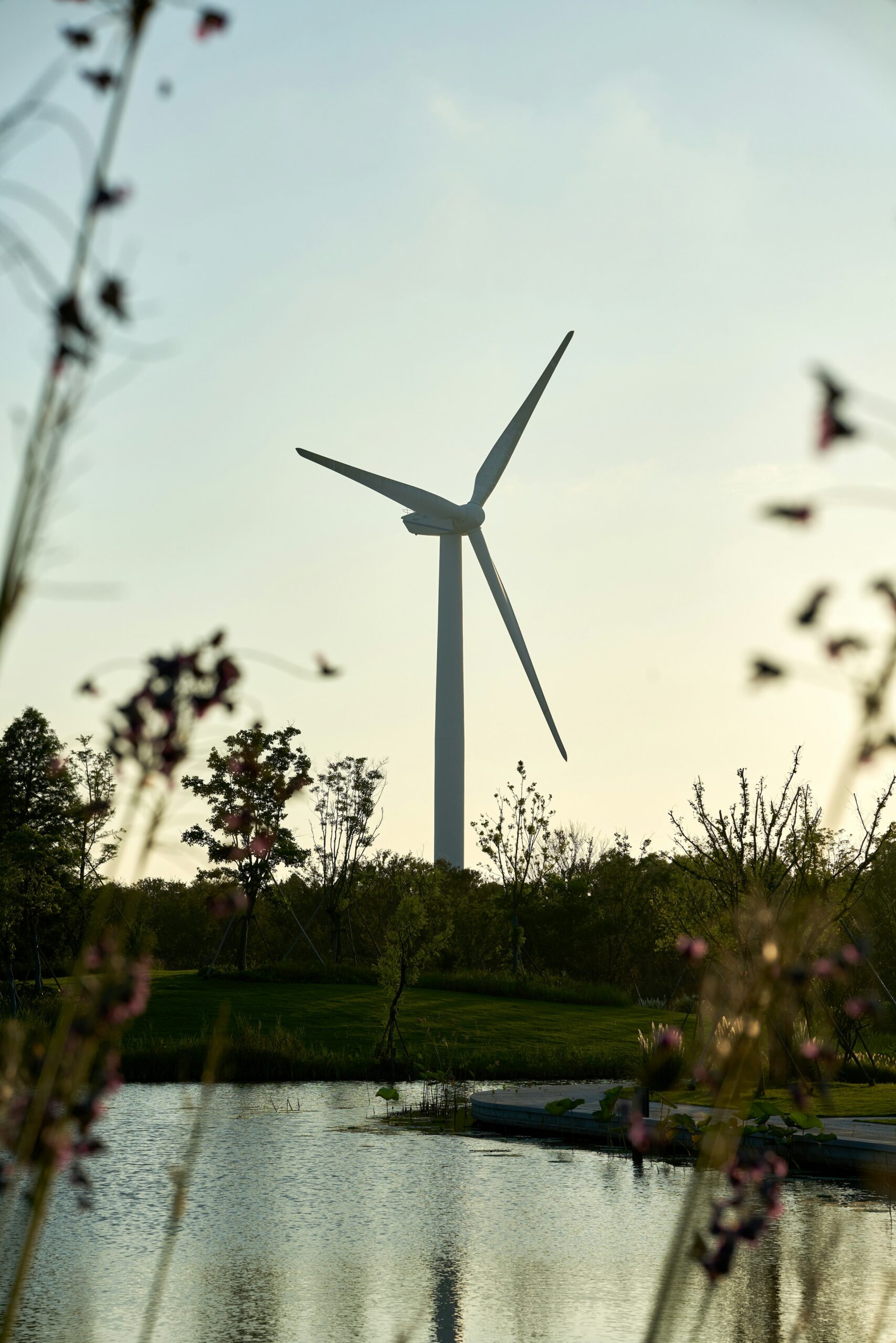 Mehr über den Artikel erfahren Analyse aus dem Juni 2024: Bayern hinkt in Windkraft hinterher